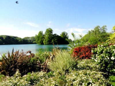 General view - Parc de la Tête d'Or - DSC05252
