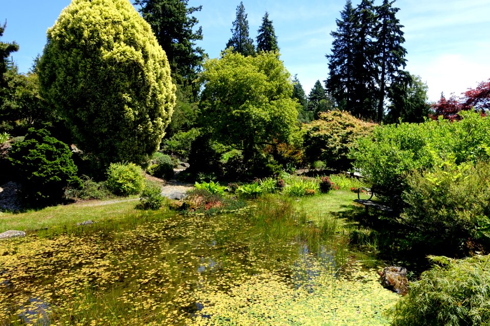 General view - UBC Botanical Garden - Vancouver, Canada - DSC08389
