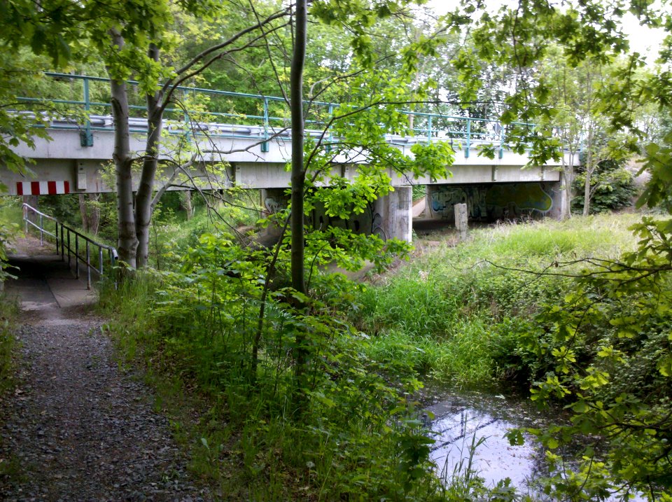 Geh- und Radweg entlang der Schwennigke von Pegau nach Audigast - Unterführung B 176 im Mai 2016