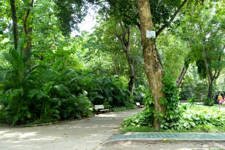 General view - Saigon Zoo and Botanical Gardens - Ho Chi Minh City, Vietnam - DSC01225
