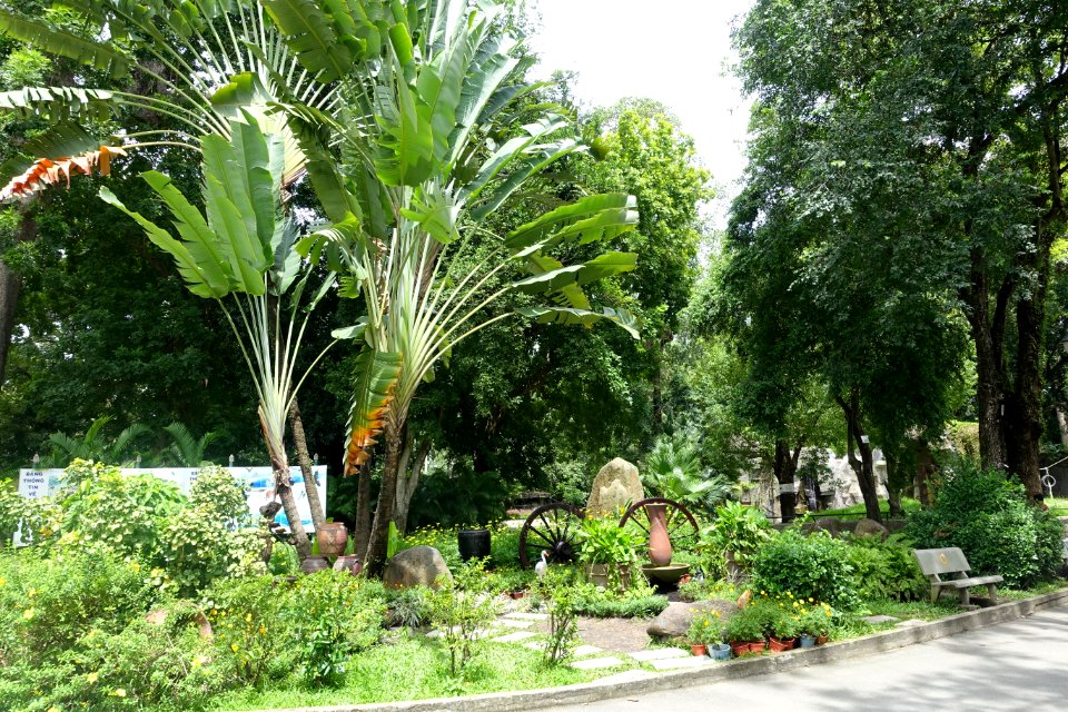 General view - Saigon Zoo and Botanical Gardens - Ho Chi Minh City, Vietnam - DSC01184