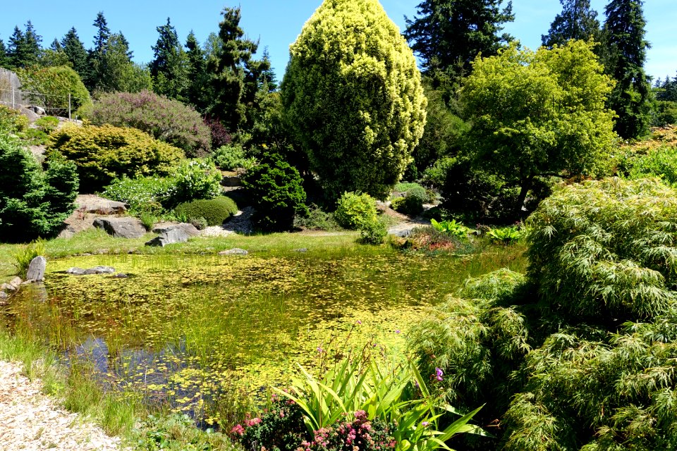 General view - UBC Botanical Garden - Vancouver, Canada - DSC08385