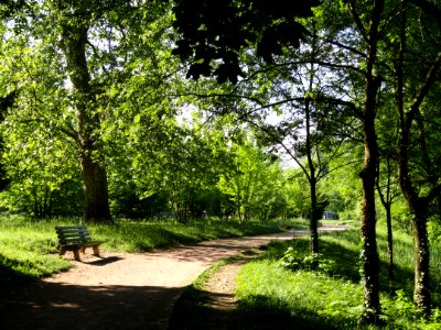 General view - Parc de la Tête d'Or - DSC05225