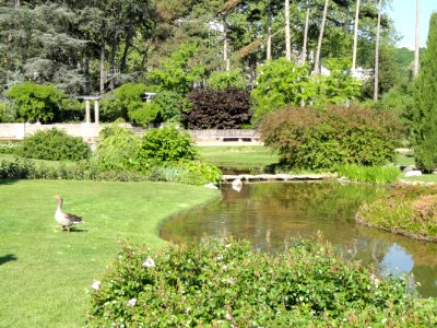 General view - Parc de la Tête d'Or - DSC05264