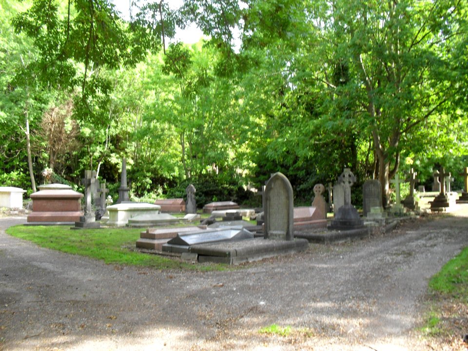 General view of Brighton Extramural Cemetery, off Lewes Road, Brighton (September 2010) (3)
