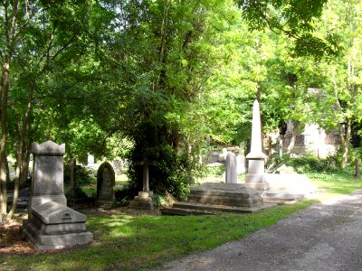 General View of Brighton Extra Mural Cemetery