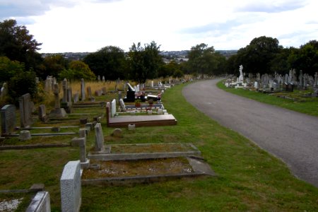 General view of Brighton and Preston Cemetery, off Hartington Road, Brighton (August 2014) (5)