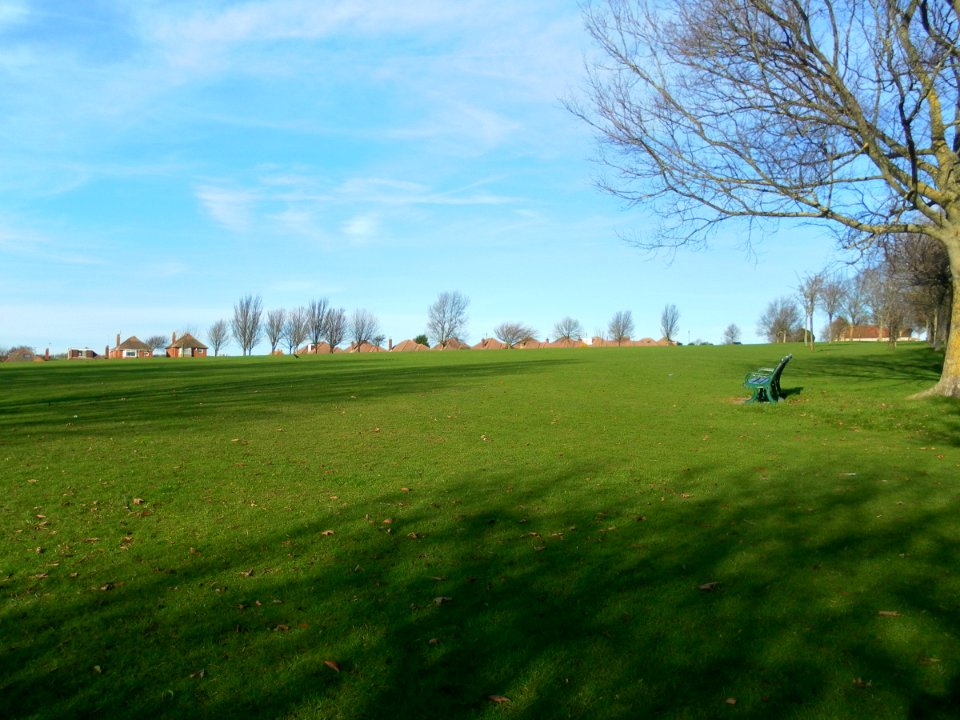 General view of Hangleton (December 2011) (5)