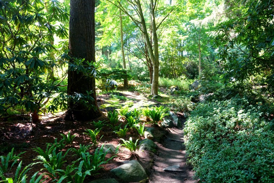 General view - VanDusen Botanical Garden - Vancouver, BC - DSC07249
