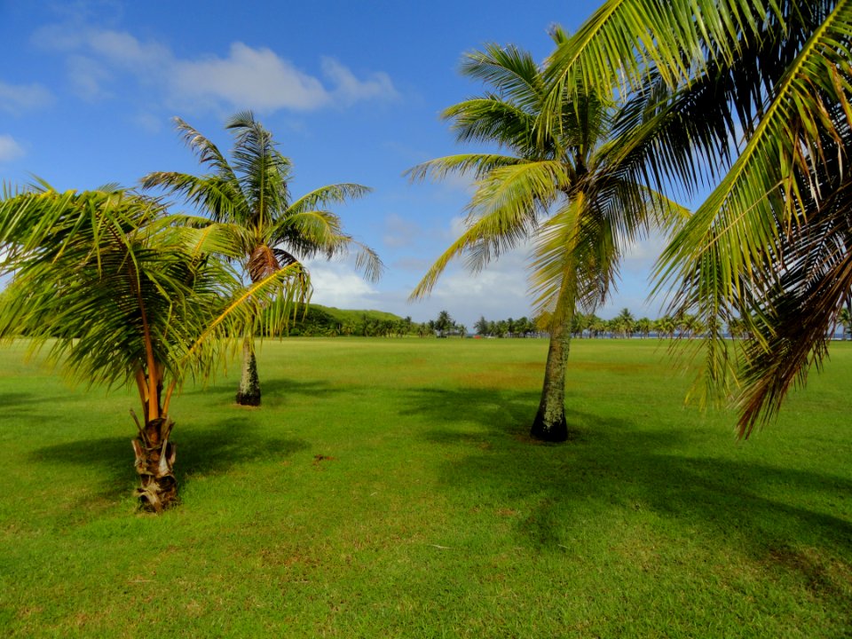General view - War in the Pacific National Historical Park (Asan Beach Unit) - DSC00860