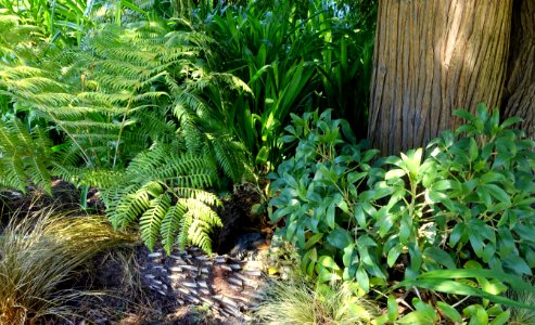 General view - VanDusen Botanical Garden - Vancouver, BC - DSC07404
