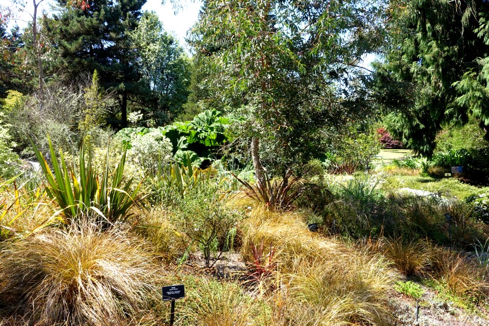 General view - VanDusen Botanical Garden - Vancouver, BC - DSC07392
