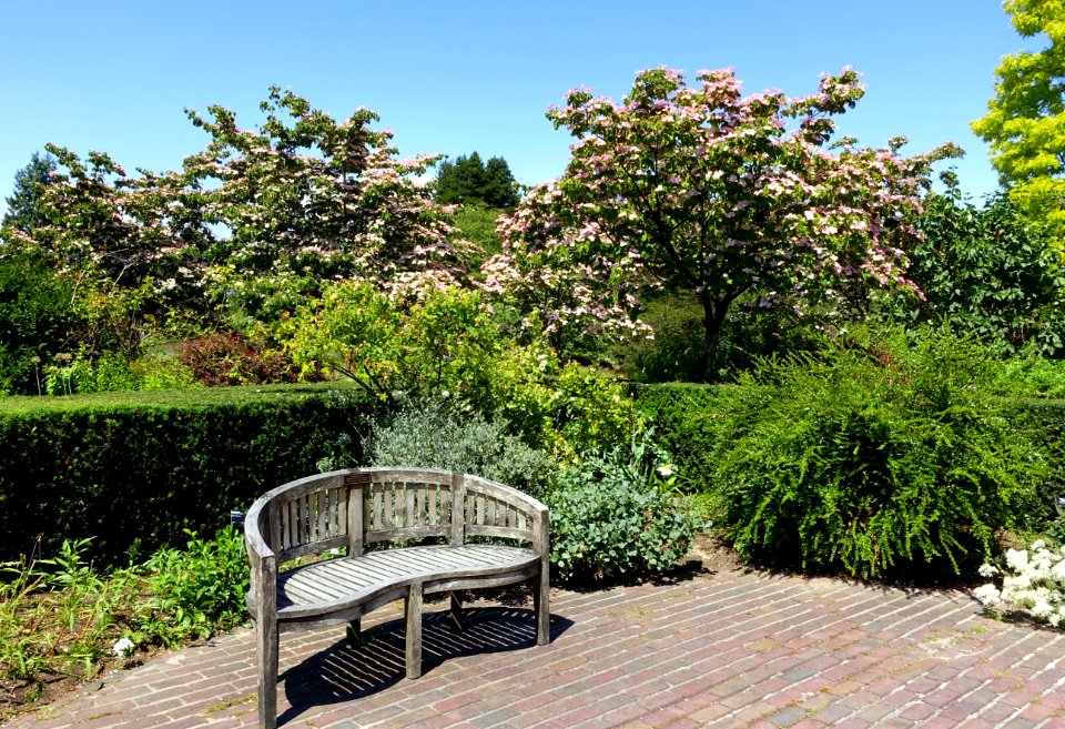 General view - VanDusen Botanical Garden - Vancouver, BC - DSC07444