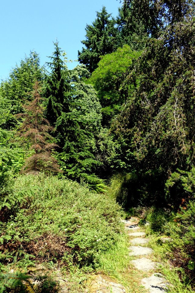 General view - VanDusen Botanical Garden - Vancouver, BC - DSC07003