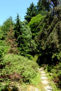 General view - VanDusen Botanical Garden - Vancouver, BC - DSC07003