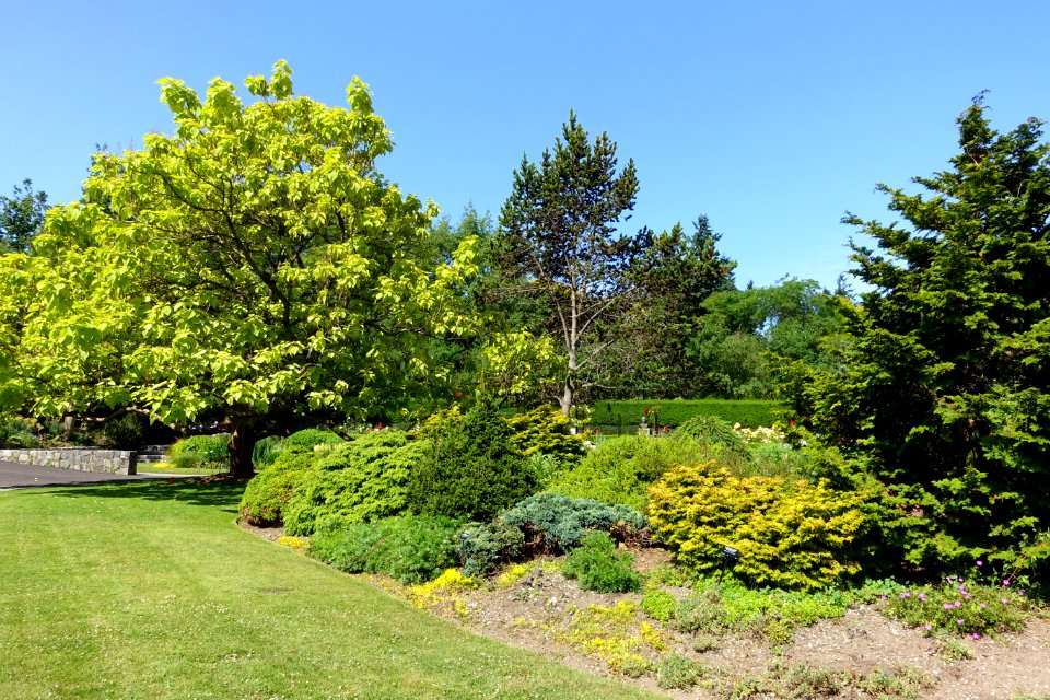 General view - VanDusen Botanical Garden - Vancouver, BC - DSC06758