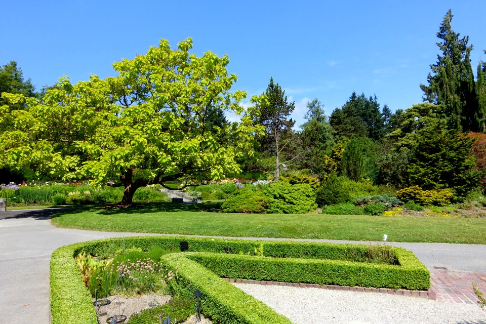 General view - VanDusen Botanical Garden - Vancouver, BC - DSC06757