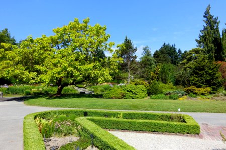 General view - VanDusen Botanical Garden - Vancouver, BC - DSC06757