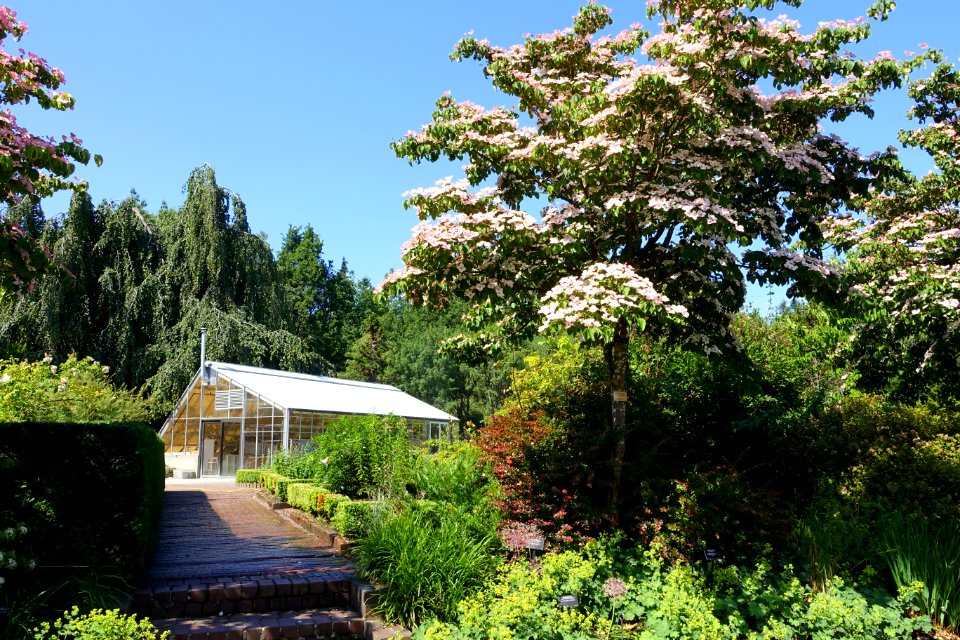 General view - VanDusen Botanical Garden - Vancouver, BC - DSC06748
