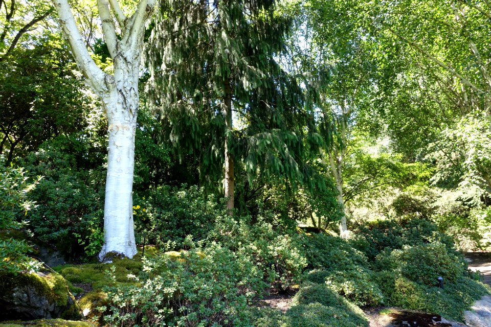 General view - VanDusen Botanical Garden - Vancouver, BC - DSC07350