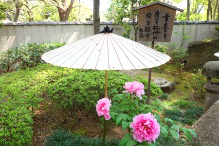 General view - Ueno Tōshō-gū Peony Garden - DSC01883
