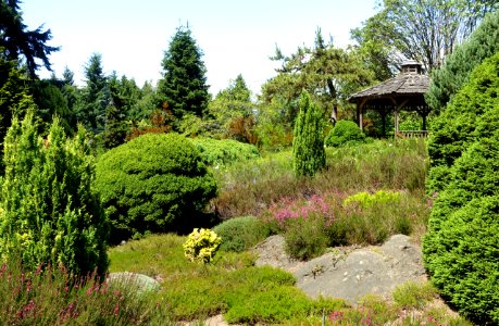 General view - VanDusen Botanical Garden - Vancouver, BC - DSC07420
