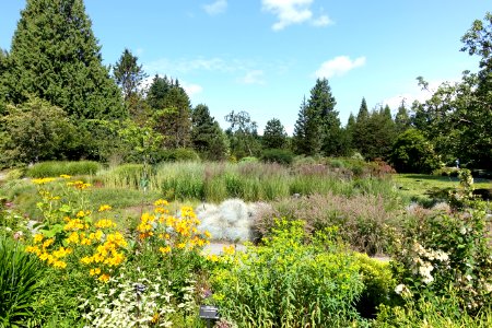 General view - VanDusen Botanical Garden - Vancouver, BC - DSC06740