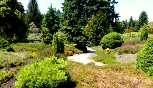 General view - VanDusen Botanical Garden - Vancouver, BC - DSC07417