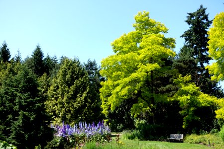 General view - VanDusen Botanical Garden - Vancouver, BC - DSC07027