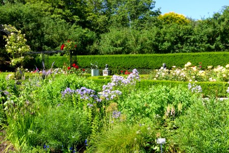 General view - VanDusen Botanical Garden - Vancouver, BC - DSC06764