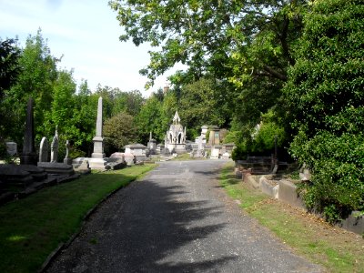 General view of Brighton Extramural Cemetery, off Lewes Road, Brighton (September 2010) (5)