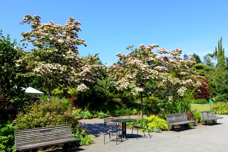 General view - VanDusen Botanical Garden - Vancouver, BC - DSC06746