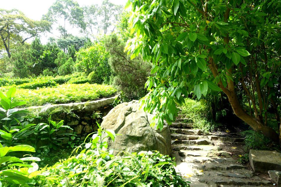 General view - Saigon Zoo and Botanical Gardens - Ho Chi Minh City, Vietnam - DSC01230