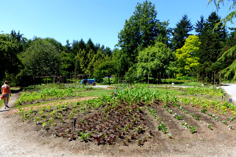 General view - VanDusen Botanical Garden - Vancouver, BC - DSC07020