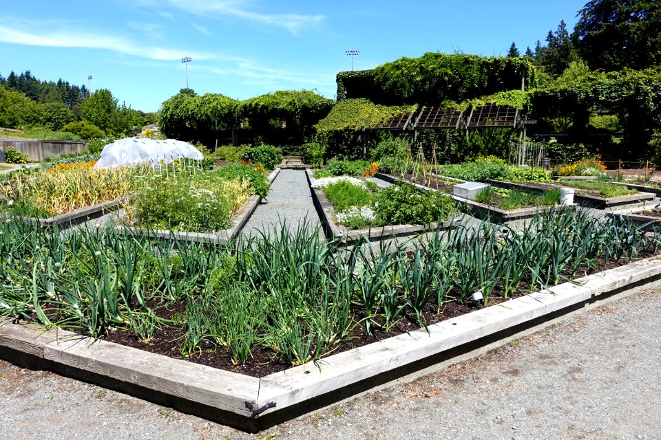 General view - UBC Botanical Garden - Vancouver, Canada - DSC08307