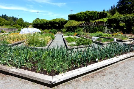 General view - UBC Botanical Garden - Vancouver, Canada - DSC08307