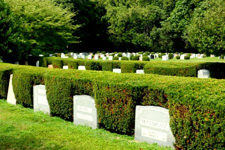General view - Newton Cemetery & Arboretum - Newton Center, MA - DSC07011