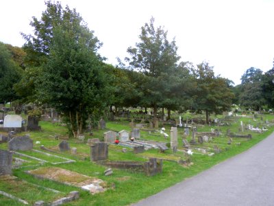 General view of Brighton and Preston Cemetery, off Hartington Road, Brighton (August 2014) (8)