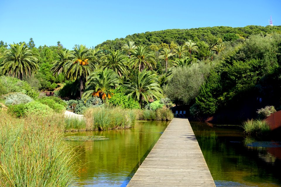 General view - Jardín Botánico de Barcelona - Barcelona, Spain - DSC09053