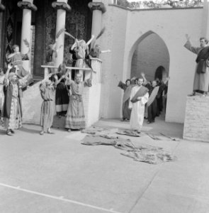 Generale repetitie van de Passiespelen te Tegelen, de intocht in Jeruzalem, Bestanddeelnr 911-2444