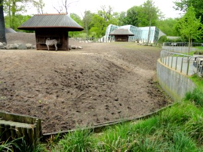 General view - Copenhagen Zoo - DSC09008