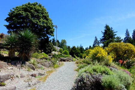 General view - UBC Botanical Garden - Vancouver, Canada - DSC08375