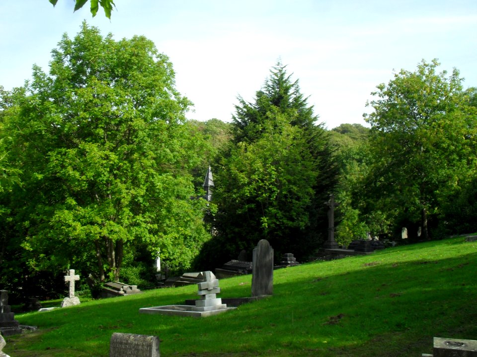 General view of Brighton Extramural Cemetery, off Lewes Road, Brighton (September 2010) (6)
