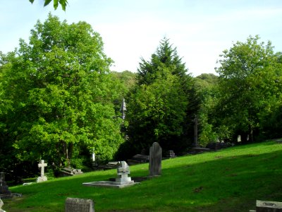 General view of Brighton Extramural Cemetery, off Lewes Road, Brighton (September 2010) (6)
