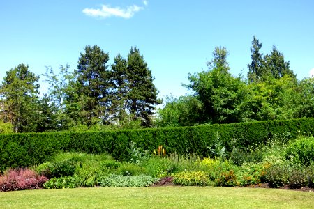 General view - VanDusen Botanical Garden - Vancouver, BC - DSC07429