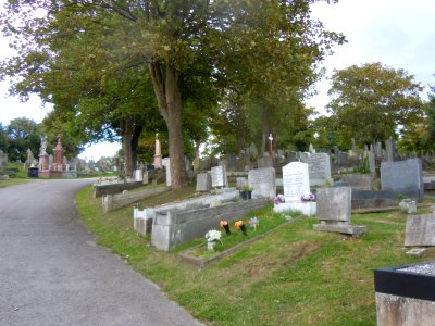 General view of Brighton and Preston Cemetery, off Hartington Road, Brighton (August 2014) (1)
