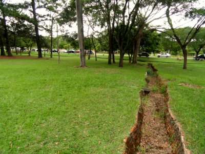 General view - Jardim Zoológico de Brasília - DSC09863