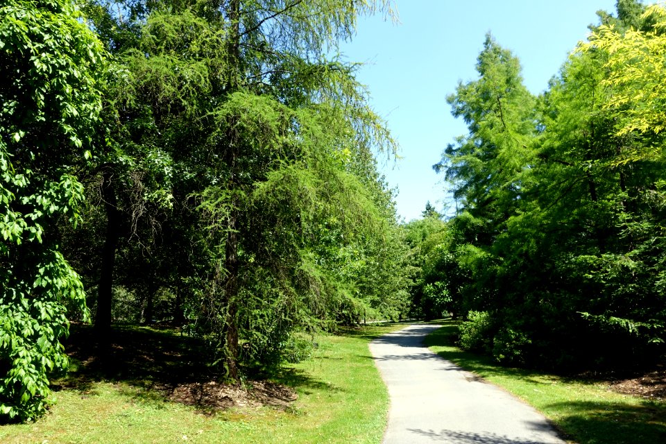 General view - VanDusen Botanical Garden - Vancouver, BC - DSC07360