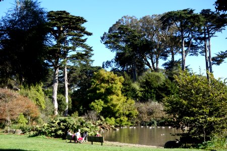 General view - San Francisco Botanical Garden - DSC09895 photo