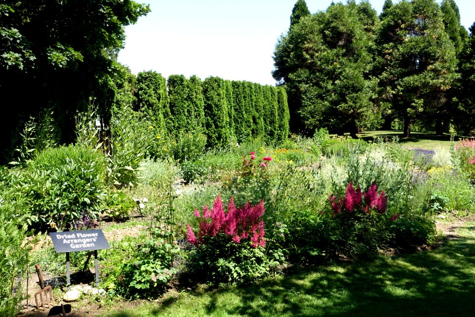 General view - VanDusen Botanical Garden - Vancouver, BC - DSC07352